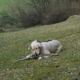 Huette042007040