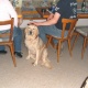 Huette042007203