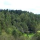 Huette08053