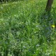 FlembachuetteMai09008