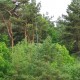FlembachuetteMai09026