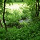 FlembachuetteMai09031