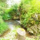 FlembachuetteMai09032