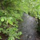 FlembachuetteMai09038