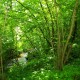 FlembachuetteMai09041