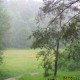 FlembachuetteMai09046