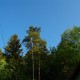 FlembachuetteMai09052