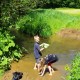 FlembachuetteMai09071