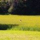 FlembachuetteMai09089