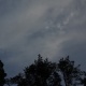 IMGP6892