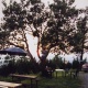 Meuselb.Kuppe021