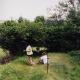 Meuselb.Kuppe044