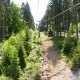 ochsenkopf200727