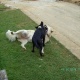 BILD0022