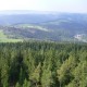 Kuppe2009020