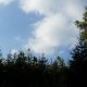 Kuppe2009093