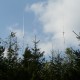 Kuppe2009094
