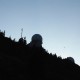 Arber010