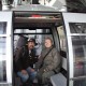 Arber055