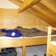 Arber062