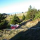 Arber093