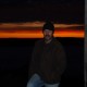 Arber301