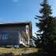Arber482